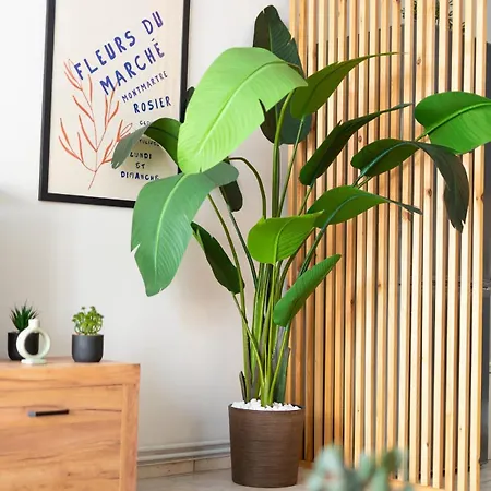 Appartement Dolce Luxury 2nd Floor *